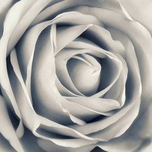 Meet your Posher, Colette